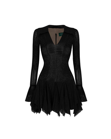 Lace Flared Paneled Dress