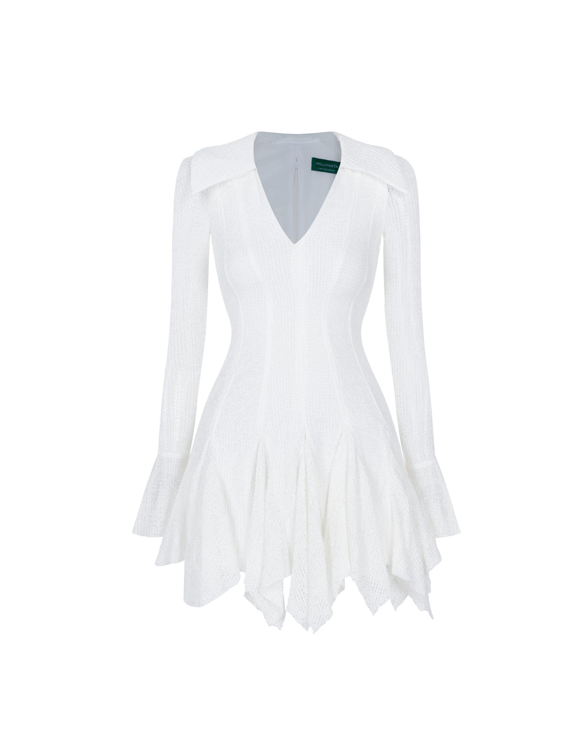 Lace Flared Paneled Dress